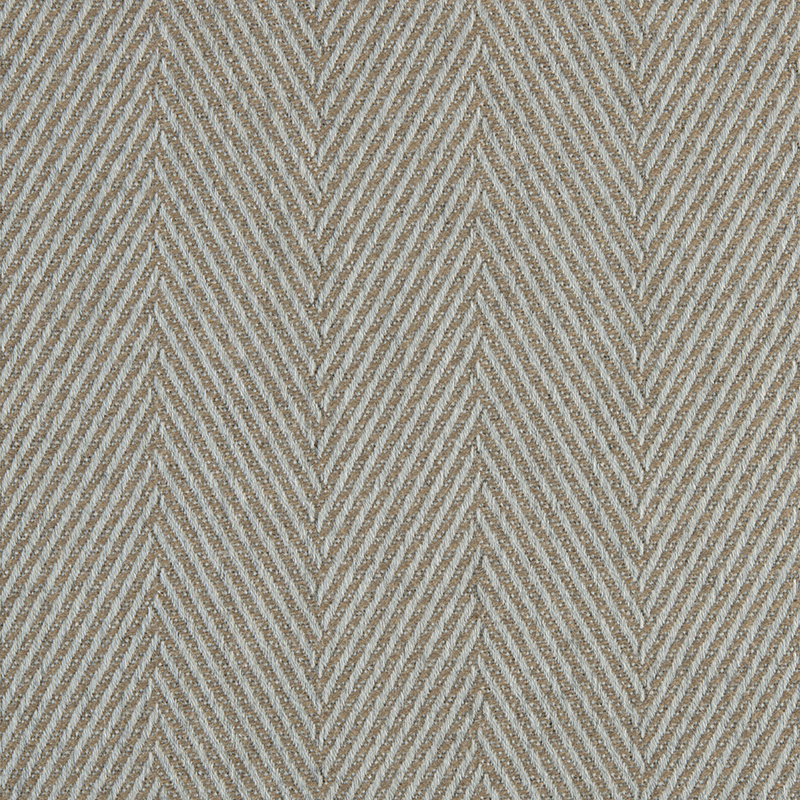 1331_AG_ESQUIRE_FOSSIL