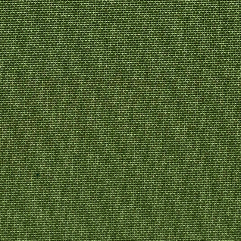 20908_AG_PIER_FOREST